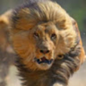 Meet your Posher, Kerry